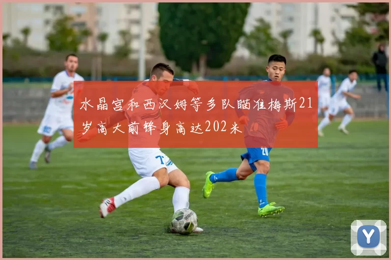 水晶宫和西汉姆等多队瞄准梅斯21岁高大前锋身高达202米
