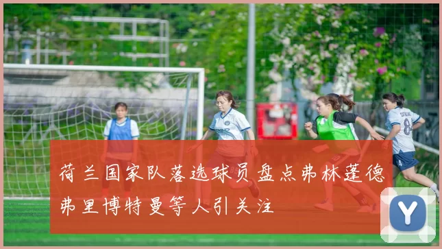 荷兰国家队落选球员盘点弗林蓬德弗里博特曼等人引关注