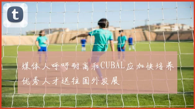 媒体人呼吁耐高和CUBAL应加快培养优秀人才送往国外发展